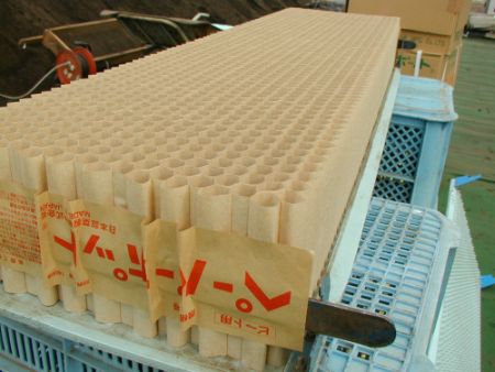 Paperpot for root crops