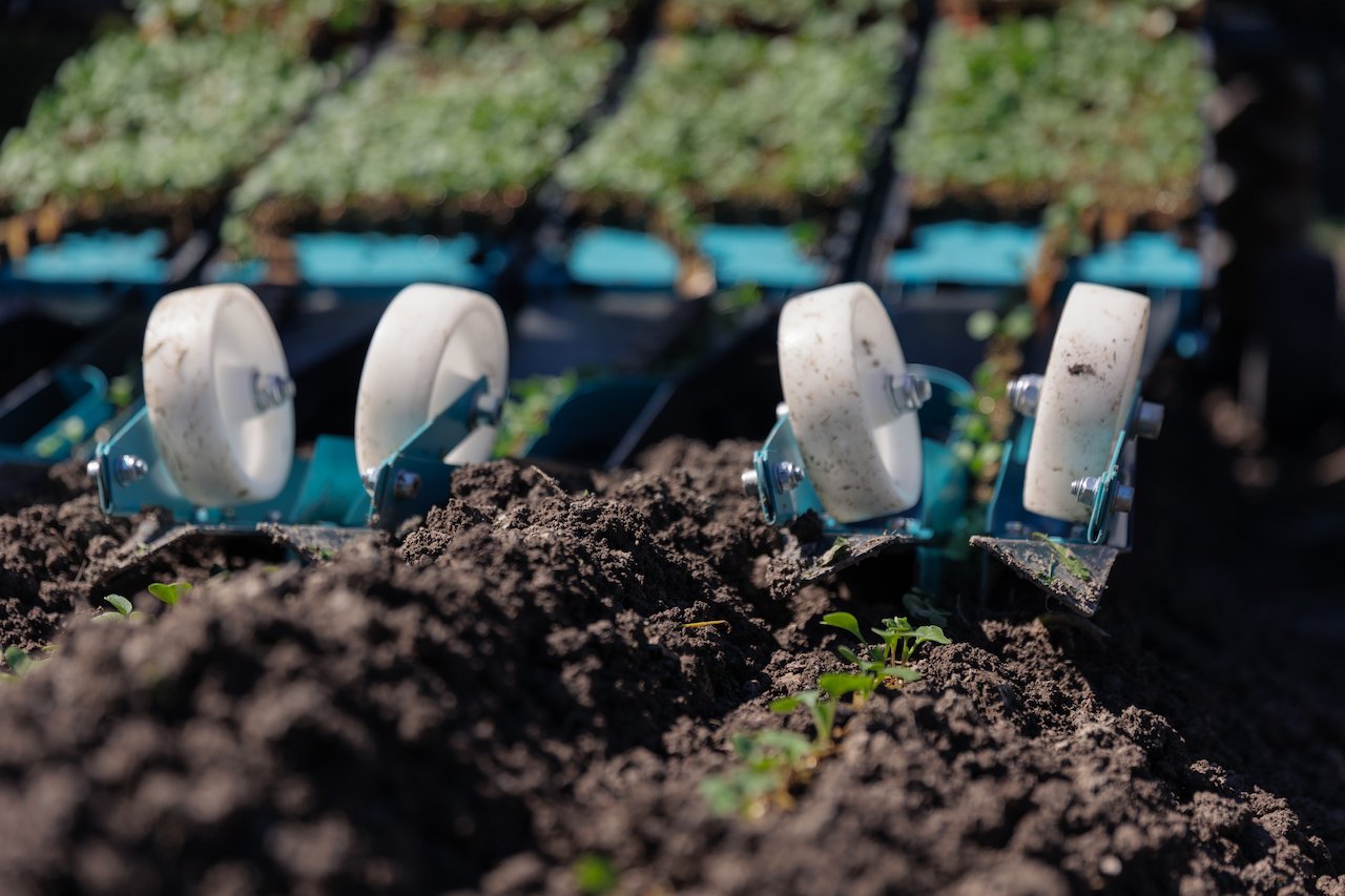Lavrih Field Planter - Image 2